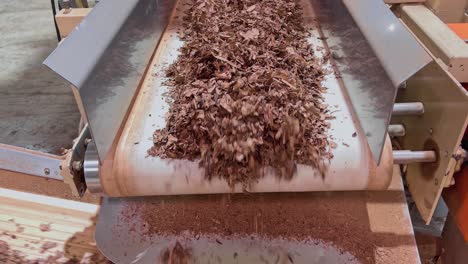 Dried-Shredded-Tobacco-On-Conveyor-Belt-At-Cigarette-and-Tobacco-Factory-In-Dominican-Republic