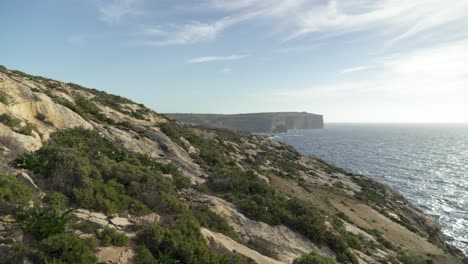 Scarce-Greenery-Waving-in-Wind-near-Coastline-of-Mediterranean-Sea-in-Gozo-Island
