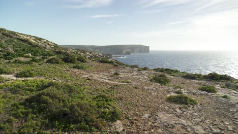 Escasa-Vegetación-Cerca-De-La-Costa-Del-Mar-Mediterráneo-En-Malta
