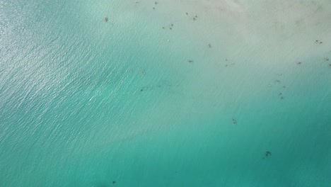 Luftaufnahmen-Von-Oben-Nach-Unten,-Die-Einen-Der-Schönsten-Strände-An-Der-Smaragdküste-Des-Mittelmeers-Von-La-Pelosa-Zeigen