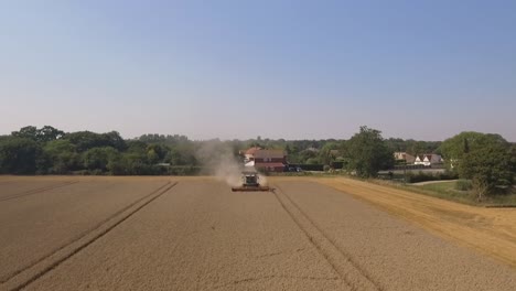 Harvest-Claas-combine-harvester-cropping-towards-camera-with-houses-trees
