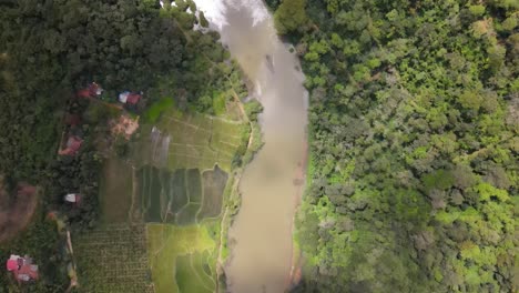 Aerial-top-down-shot-of-dirty-river-flowing-in-India-surrounded-by-idyllic-fields-and-tropical-forest-in-sunlight