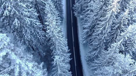 Schmale-Betonstraße-Zwischen-Verschneitem-Wald---Luftaufnahme