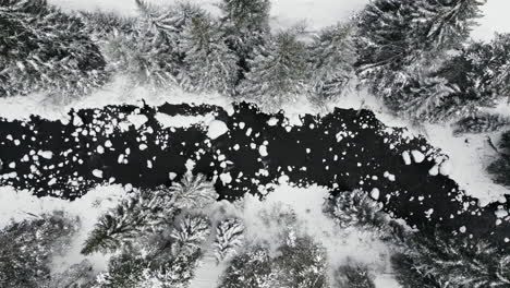 Aerial-Drone-Footage-of-Black-River-Surrounded-By-Snow-Covered-Pine-Trees-in-Rocky-Mountains-Near-Vail-Colorado-USA