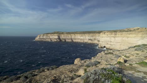 Greenery-Growing-on-Cliffs-near-Mediterranean-Sea-in-Island-of-Gozo-in-Malta-in-Winter