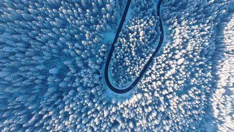 Erstaunliche-Luftszene-Des-Schneebedeckten-Waldes-Im-Winter---Luftaufnahme
