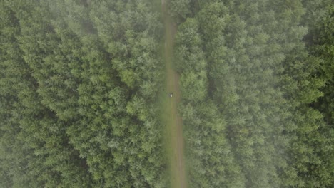 Drone-shot-of-a-thick-forest-in-Ireland