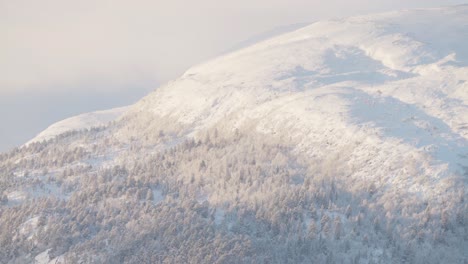 Paisaje-Invernal---Vista-Aérea-Del-Bosque-Nevado-Y-La-Montaña-En-Noruega