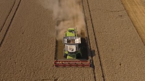 Harvest-close-follow-tracking-above-Claas-combine-harvester-in-field