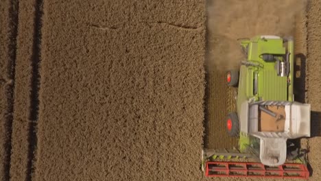 Harvest-drone-close-fly-over-crop-then-combine-harvester-enters-shot-and-leaves