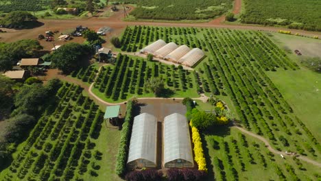 Greenhouses-in-the-middle-of-a-coffee-farm,-next-to-the-blue-sky-and-ocean-on-the-island-of-Kauai-in-Hawaii