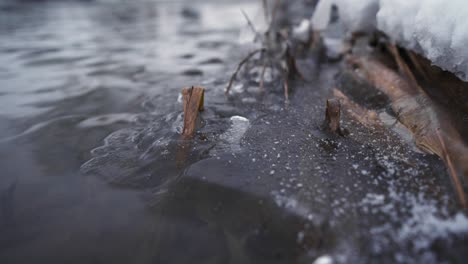 Flowing-water-pushing-air-bubbles-under-a-thin-layer-of-ice