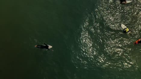 Top-down-view-of-surfers-swimming-on-a-surf-board-at-the-sea-before-catching-a-wave,-drone-shot