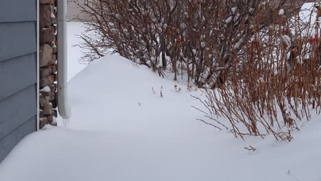 Schnee-Fällt-Auf-Einen-Vorderweg-Und-Macht-Den-Weg-Tief-In-Pudrige-Kälte