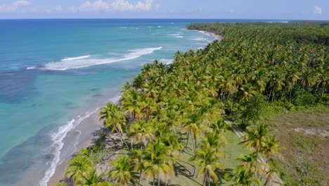 Wunderschöne-Palmen-Und-Türkisblaues-Wasser,-Auf-Einer-Insel-In-Der-Karibik