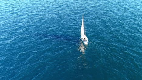 Sailboat-sailing-away-in-the-Pacific-Ocean-off-the-coast-of-Pacific-Palisades-California-|-Steady-Aerial-Shot-|-Sunny-Afternoon