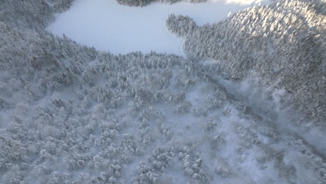 Espesa-Nieve-Que-Cubre-El-Bosque-Cerca-De-Sutton-En-Quebec,-Canadá-En-Invierno---Toma-Aérea