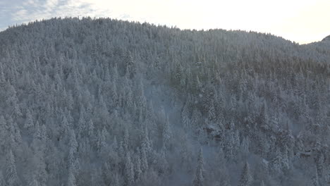Las-Montañas-Del-Bosque-Invernal-Revelaron-Un-Cielo-Brillante-Al-Amanecer-Cerca-De-Sutton,-Quebec,-Canadá