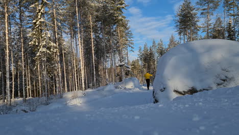 Persona-Esquiando-A-Través-Del-Majestuoso-Bosque-Invernal,-Tiro-Estático