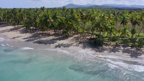 Aerial-view-around-palm-trees-on-the-coast-of-Playa-Costa-Esmeralda,-Miches-in-Dominican-republic