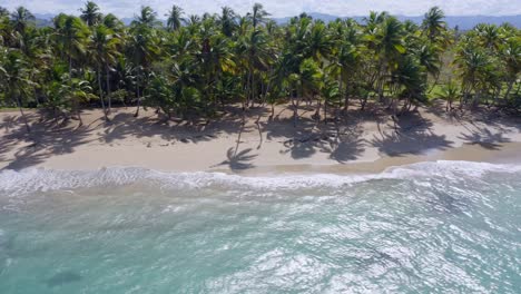 Ocean-breeze-through-palm-trees,-remote-tropical-beach-in-Caribbean