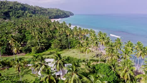 Aerial-view-around-a-resort-in-middle-of-palm-trees,-on-the-coast-of-Las-Terrenas,-Dominican-republic---circling,-drone-shot