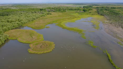 Aerial-view-of-mangroves-and-wetland-of-Estero-Balsa-National-Park