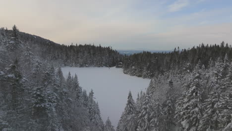 Flight-Towards-Frosted-Lake-Surrounded-By-Coniferous-Trees-During-Winter