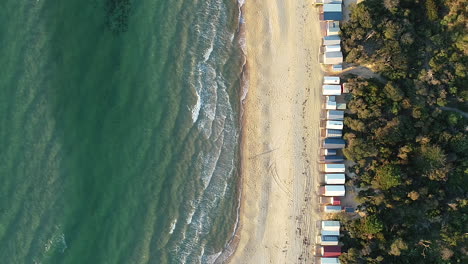 Einsame-Person,-Die-Am-Strand-Entlang-Geht,-Vorbei-An-Berühmten-Bunten-Strandboxen