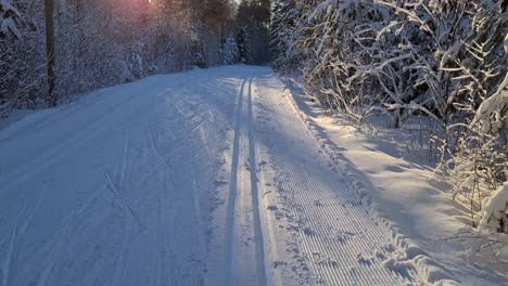 Cross-country-skiing-trail-in-Nordic-forest-during-cold-sunny-winter-day