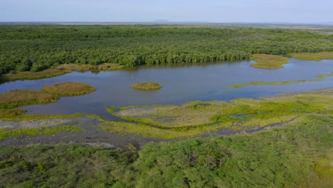 Aerial-shot-with-drone,-in-the-Estero-Balsa-national-park-in-monte-cristi,-sunny-day,-beautiful-greenery