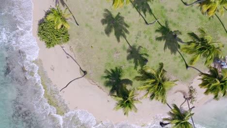 Aerial-top-down-backward-over-Playa-Esmeralda-exotic-beach,-Dominican-Republic