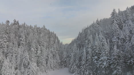 Dichte-Und-Eisige-Waldlandschaft-In-Der-Nähe-Von-Sutton-In-Quebec-Im-Winter---Luftaufnahme