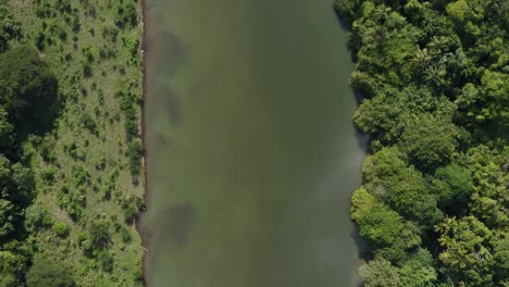 Luftbild-Von-Oben-Nach-Unten-über-Den-Fluss-Chavon-In-Der-Dominikanischen-Republik