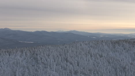 Landschaft-Von-Weißen-Kiefern-Im-Winterwaldberg