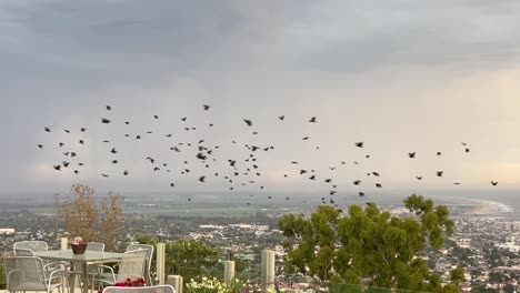 A-Large-Flock-Of-Crows-Turns-Suddenly-As-Bolts-Of-Lightning-Strike-The-City-In-Their-Path