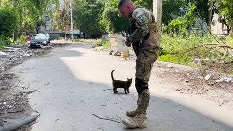 Ein-Ukrainischer-Soldat-Freundet-Sich-Mit-Einer-Katze-In-Einem-Zerstörten-Dorf-In-Der-Ostukraine-An