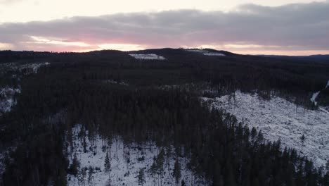 Winter-Forest-sunset-behind-Hilltops