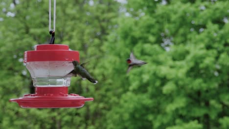 Two-hummingbirds-fly-in-the-rain,-land-on-feeder-in-slow-motion