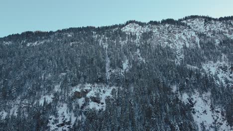 Winter-mountain-forest-tree-hiking-canyon-with-snow-and-ice-in-the-idyllic-Bavarian-Austrian-alps-with-mountain-peaks