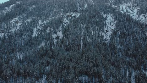 Winter-mountain-forest-tree-hiking-canyon-with-snow-and-ice-in-the-scenic-and-beautiful-Bavarian-Austrian-alps-with-mountain-peaks