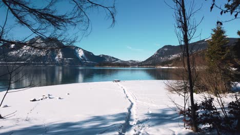 Waldstrand-Am-Walchensee-In-Bayern,-Süddeutschland-In-Den-Malerischen-Alpen-In-Der-Nähe-Von-österreich
