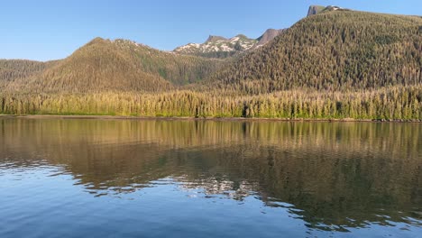 Un-Bosque-En-La-Isla-Kuprenof-De-Alaska-Se-Refleja-En-El-Agua