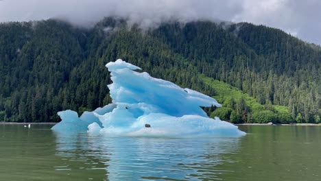 A-Harbor-Seal-Relaxes-On-An-Iceberg-In-Alaska'S-Laconte-Bay