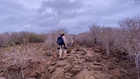 Time-Lapse-Photography-Of-Hikers-Making-Their-Way-Through-Genovesa-Island-On-The-Galapagos