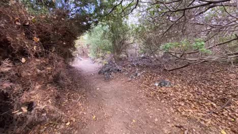 Time-Lapse-Photography-Of-A-Hiker'S-Path-In-The-Galapagos