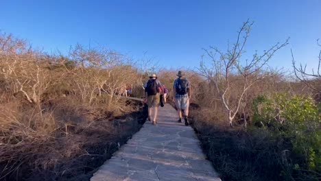 Zeitrafferfotograf-Von-Wanderern,-Die-Einen-Pfad-Auf-Der-Insel-Santa-Cruz-Der-Galapagos-Befahren