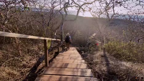 Time-Lapse-Photographer-Of-Hikers-Navigating-A-Path-On-Santa-Cruz-Island-Of-The-Galapagos