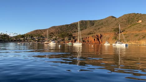 Segelboote-Sind-Vor-Der-Küste-Von-Catalina-Angedockt