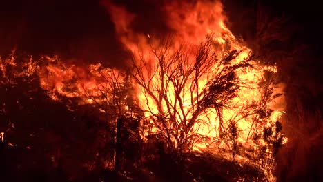 Das-Dixie-Feuer-Verbrennt-Nachts-Die-Vegetation-In-Einem-Wald-In-Nordkalifornien